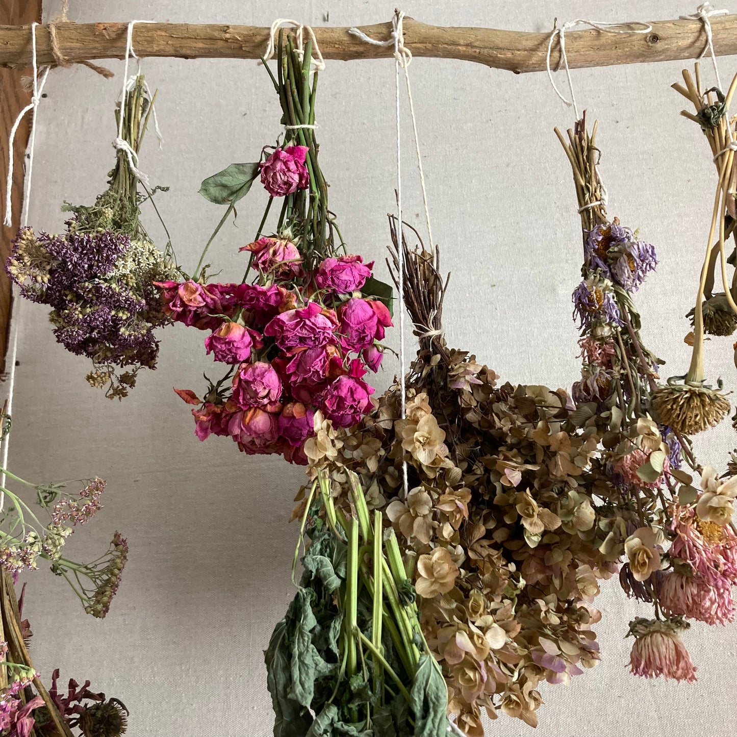 The Art of Drying Flowers | June 27th